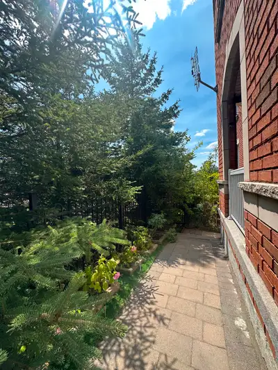 Bright, Quiet One-Bedroom Basement Apartment — Feels Like Main Floor! Spacious, above-ground, one-le...