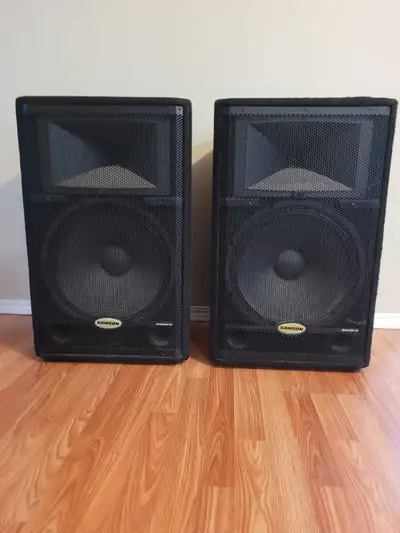 Pair of Samson speakers with 15" Subwoofers I haven't used them in years. They worked 100% and sound...