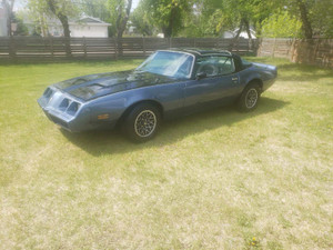 1980 Pontiac Firebird Formula