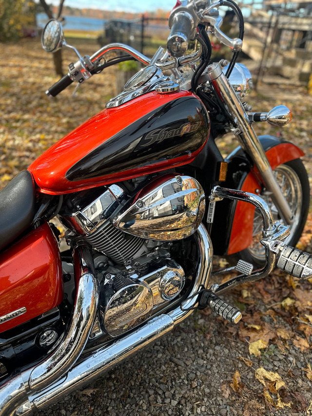 2006 Honda Shadow 750 in Street, Cruisers & Choppers in Barrie - Image 2
