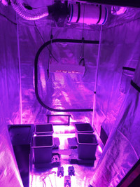 Grow tent, light and ventilation system 