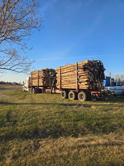 Knight Forestry Ltd. We are offering full time delivery of bulk firewood to retailers and for home h...