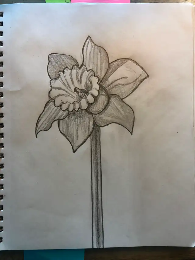 Realistic Drawing Course - 16 pre-recorded lessons!469135067480084489