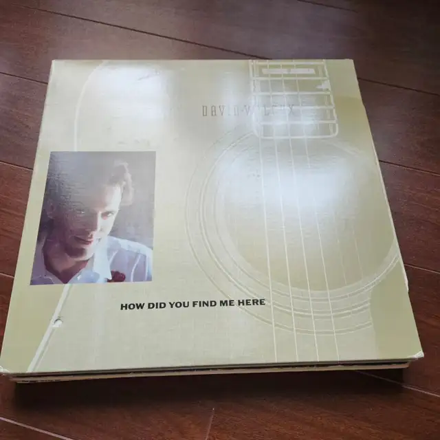 David Wilcox- How Did You Find Me Here Vinyl lp record