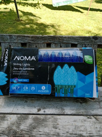 Noma LED String Lights, Indoor/Outdoor, 16 Feet, Chainable