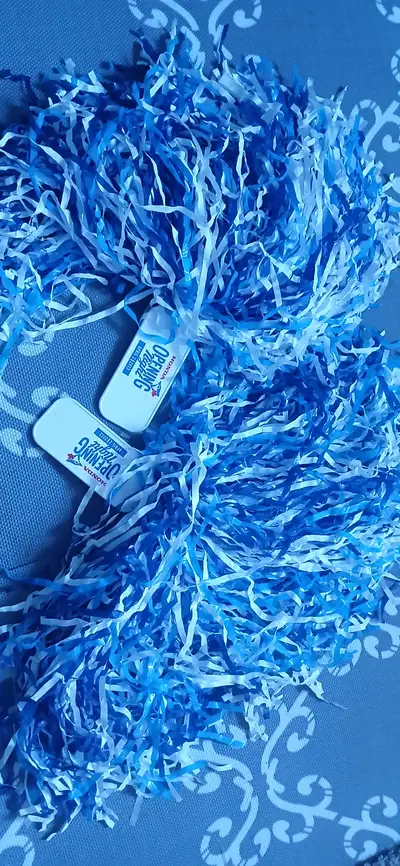 Blue Jays pom poms, View more