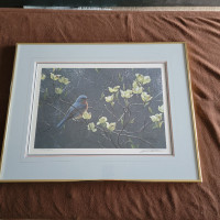 Robert Bateman Bluebird and Blossoms 1932/4500