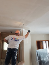 Taper.Painter,Popcorn ceiling removal.