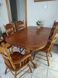 Solid Wood Dining Table with 6 Chairs