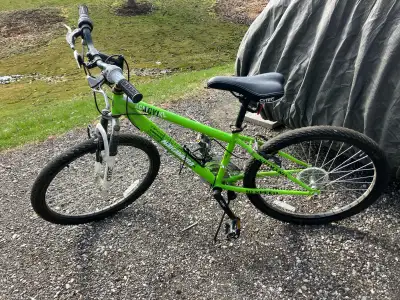High quality youth bike Purchased at Sports Check. $100