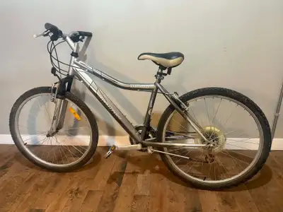 Grey Infinity Huron Mountain Bike, View more