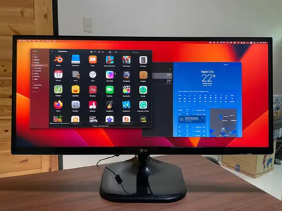 29'' UltraWide Full HD IPS Monitor - 29UM58, View more