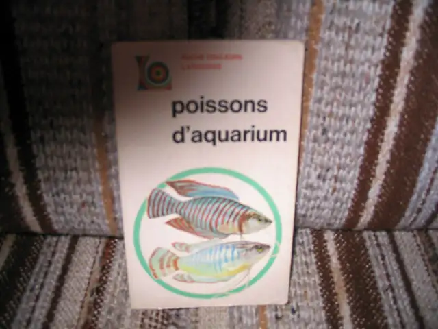 LIVRE EN ANGLAIS  - ZEBRA FINCHES  (PINSONS) - MERVIN F. ROBERTS in Arts & Collectibles in Laval / North Shore - Image 7
