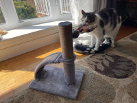 Small cat scratching post