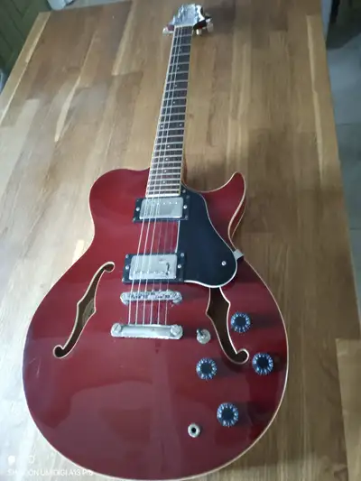 Guitare électrique Hollow body Greg Bennett RL-2, View more