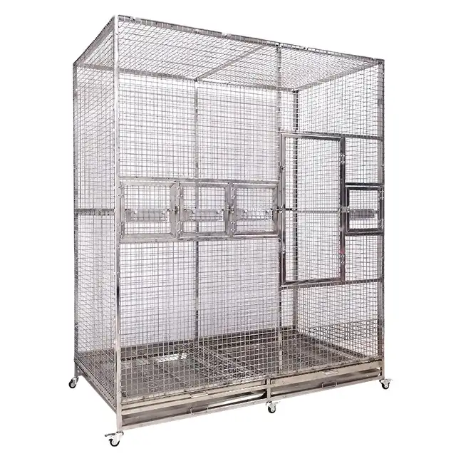 Parrot African Grey &+ Double volière XL pour perroquets in Birds for Rehoming in City of Montréal - Image 3