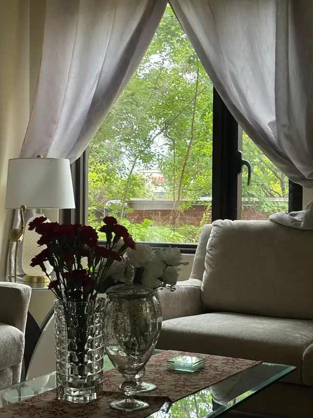 window film569705105919191041