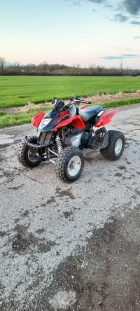 Arctic Cat dvx 250