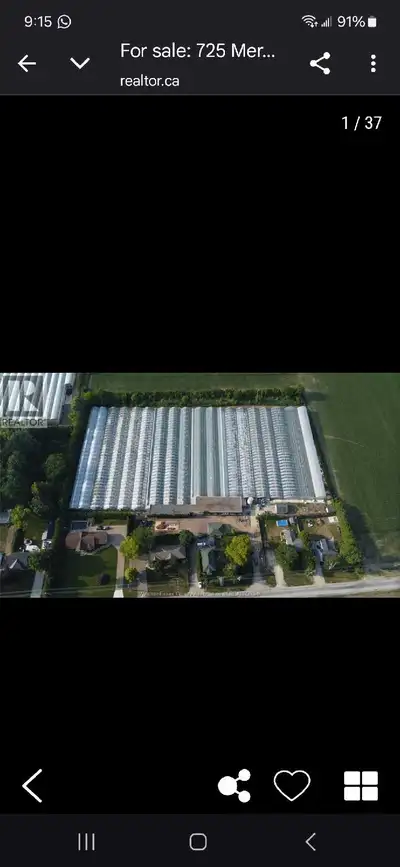 Listing Description 4.5 acres of greenhouses, 2 Cleaverbrooks boilers 350hp and 300hp. Boiler fuel -...