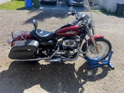 2010 Harley Davidson Sportster 1200XL - LOW 11,174 kms $10,500 No rust or damage, no wear on leather...