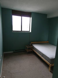 One bedroom available for rent $1100