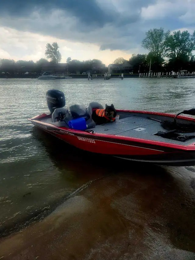 2017 Tracker 175 Fishing Boat Need sold by October in Powerboats & Motorboats in London - Image 10