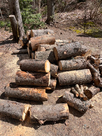 Fire wood for sale