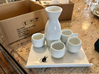 6 piece Saki set