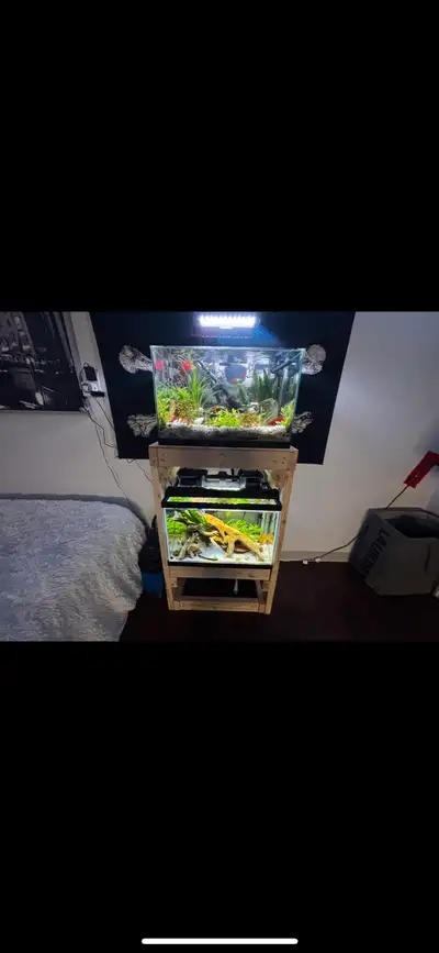 AQUARIUMS WITH CUSTOM STAND!, View more