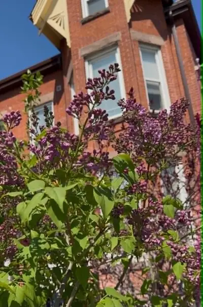 Beautiful renovated two bedroom one bath on main floor apartment for rent. Access to yard. Separate...