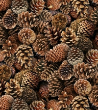 Pine cones pine cones pine cones