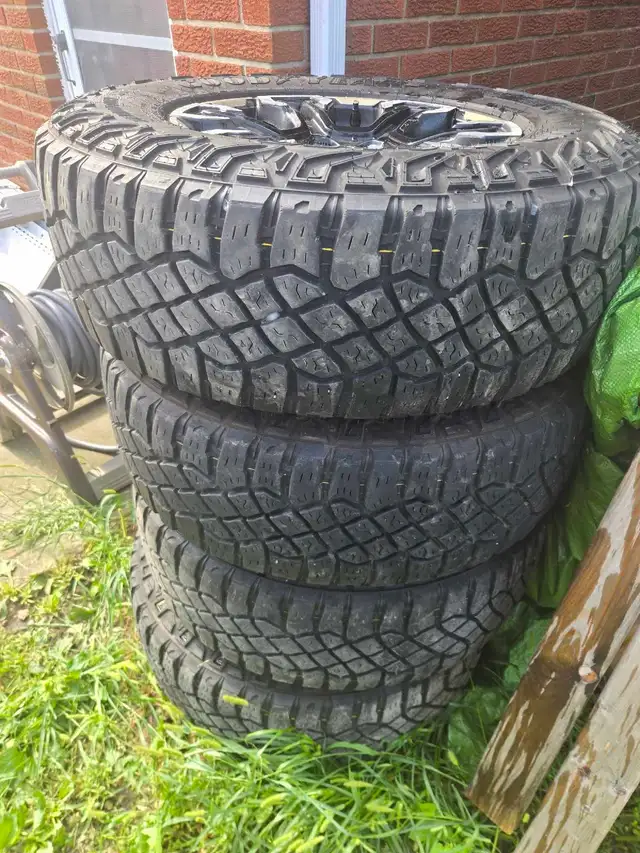 Atf4 rims557469139165532162