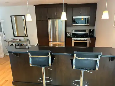 FURNISHED STUDIO CONDO steps from Parliament and Embassy of USA
