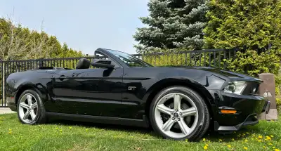 2010 Ford Mustang GT* 56,000 Original Kms*