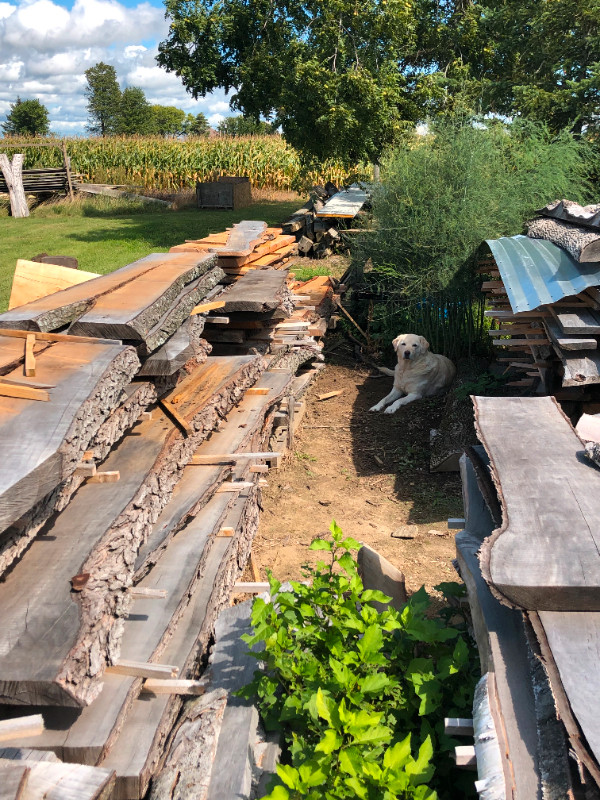 Cherry, Cedar, Poplar. Oak.....Wood for Sale in Other in Oshawa / Durham Region - Image 2