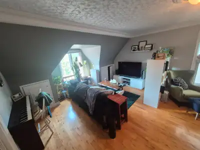 1 Bedroom with Large living room near University of Ottawa