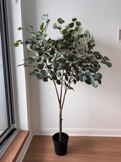 Ikea FEJKA Artificial Potted Plant (2025) - Eucalyptus, View more