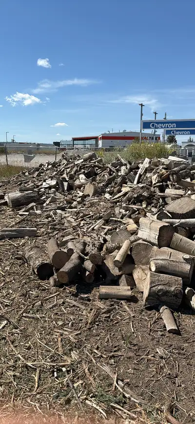 split dry firewood, View more