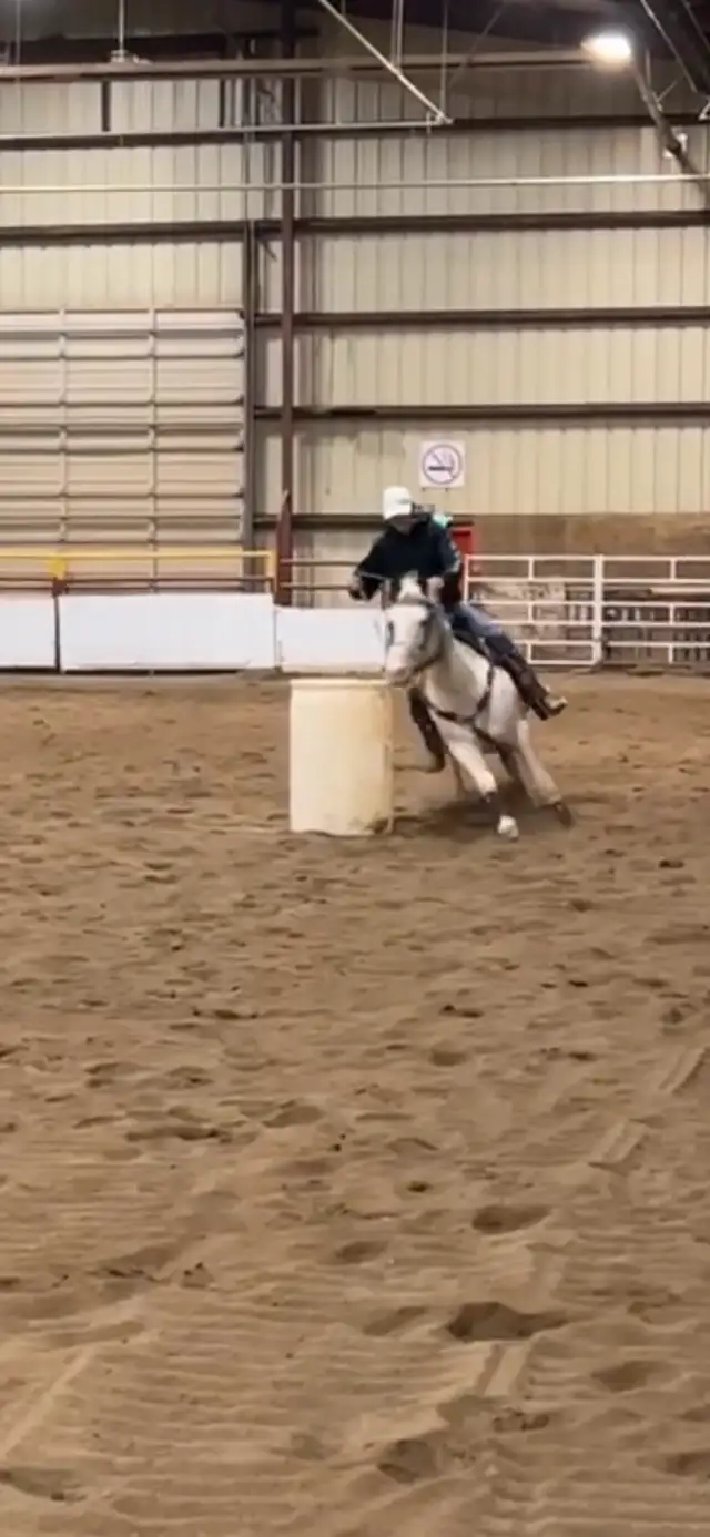 Horse Training Services in Equestrian & Livestock Accessories in Vanderhoof - Image 3