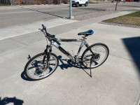 Cadillac Mountain Bike