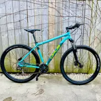 Tuned up Opus Flux29er hydraulic brakes like new