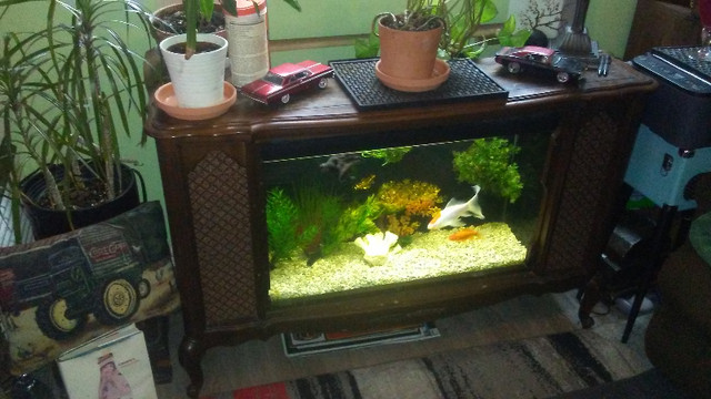 television aquarium in Accessories in Belleville - Image 3