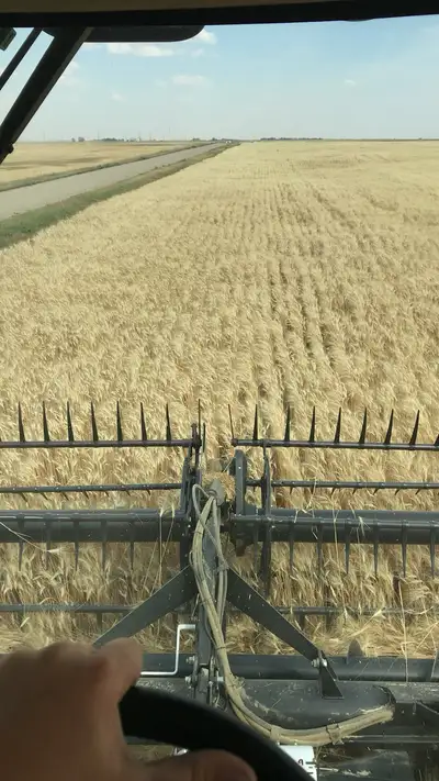 Custom combining Out of SE Saskatchewan 9770 40’ header Can provide combine only or trucks and grain...