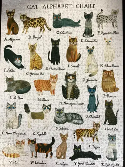 1000 piece Jigsaws, View more