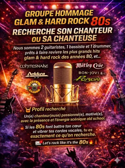 Recherche chanteur ou chanteuse, View more