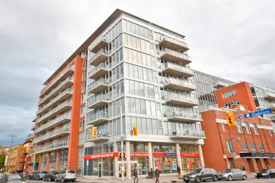 Beautiful 1 Bed + 1 Bath Condo for Rent in Centretown