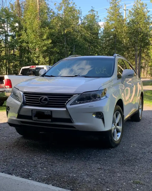 2013 Lexus RX35063782654310531121