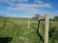 Custom Cattle Fencing and Acreage Fencing