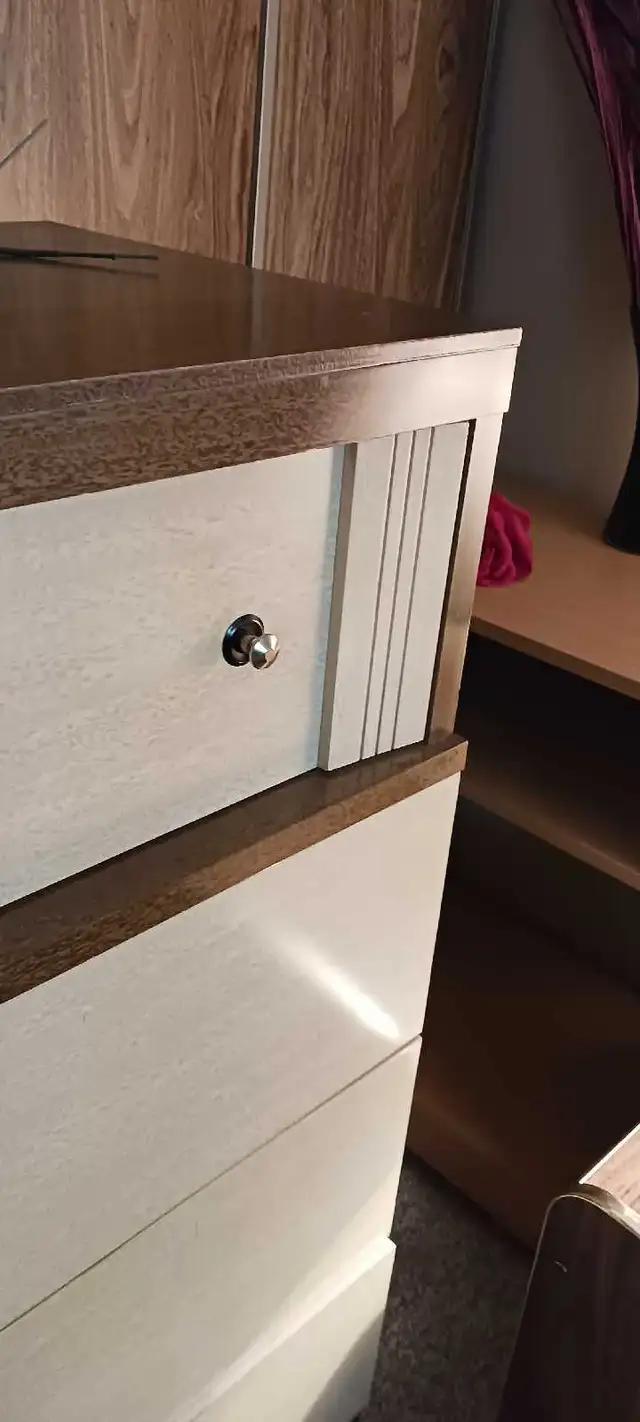 Very Cool Retro Tallboy Dresser - Free City Delivery! in Dressers & Wardrobes in Kingston - Image 8