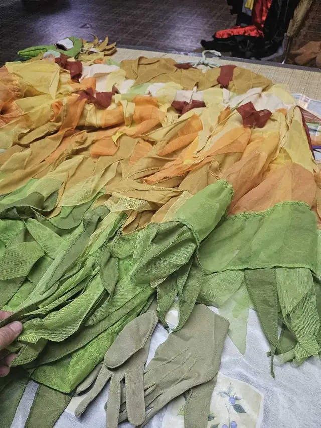 Costume Oiseau, large in Costumes in Sherbrooke - Image 9